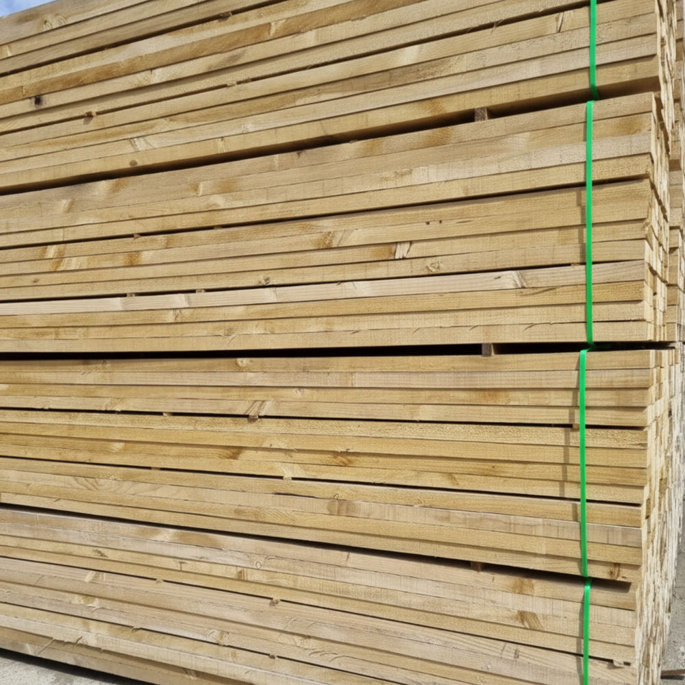 뉴송 토류판 6T (BUNDLE)