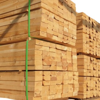 뉴송 토류판 10T (BUNDLE)