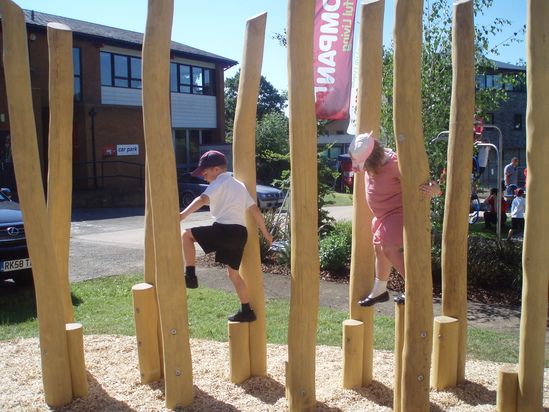 로비니아 특수목 6m 옵션